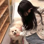 荣耀炮艇游戏下载